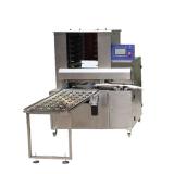 Fully Automatic Food Packaging Production Line for Wafer Biscuits Cereal Bar Wrapping Machine Cookies Feeding Flow Packaging Line